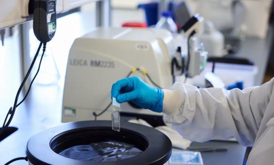 Scientist's gloved hand operating equipment in the lab