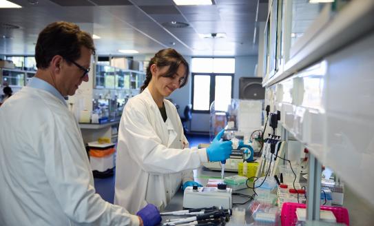 Researchers working with pipets in a diabetes research lab