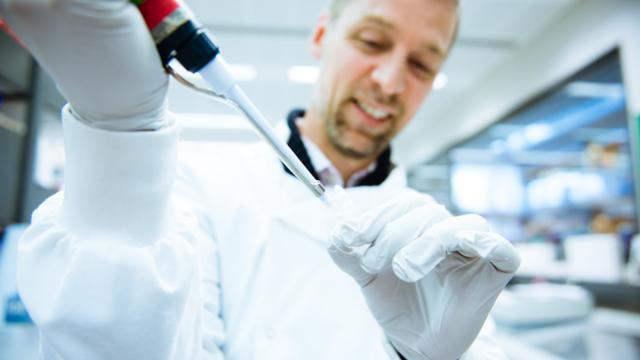 Scientist working in lab